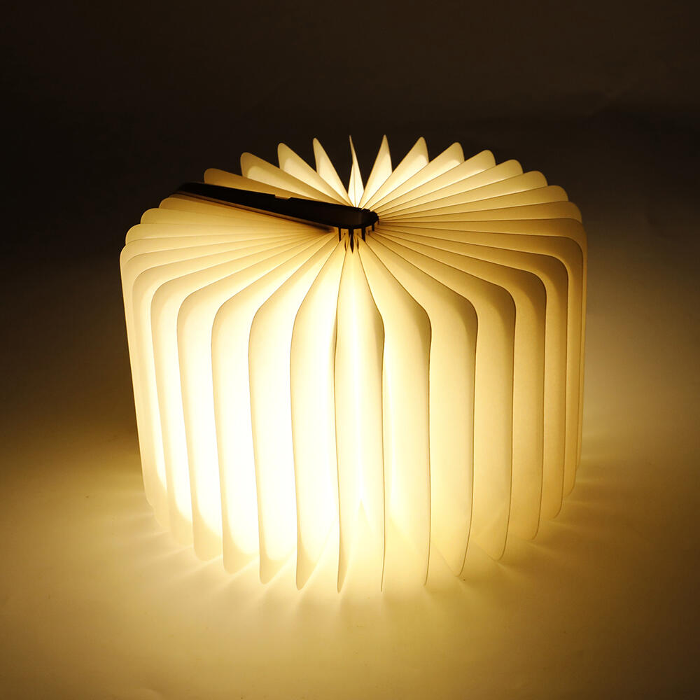 Book Lamp