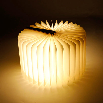 Book Lamp